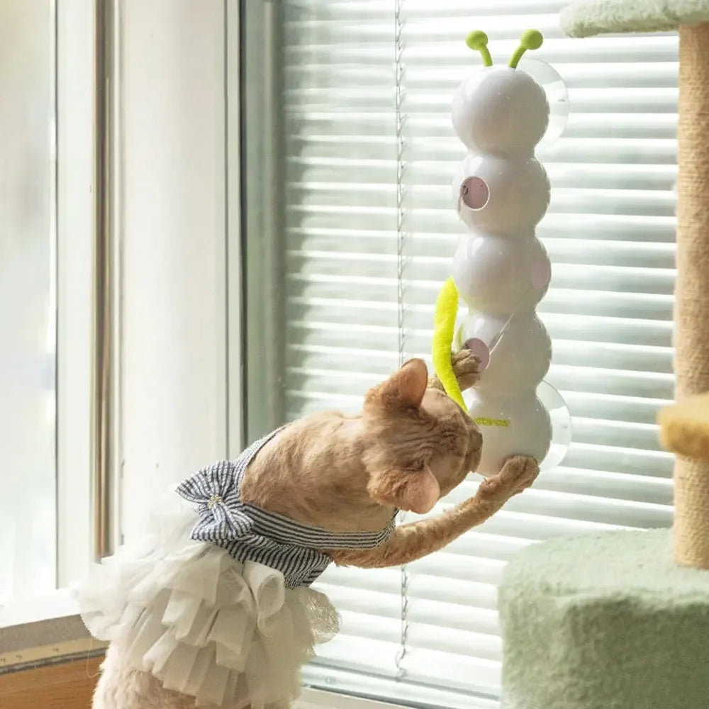 CaterPlay