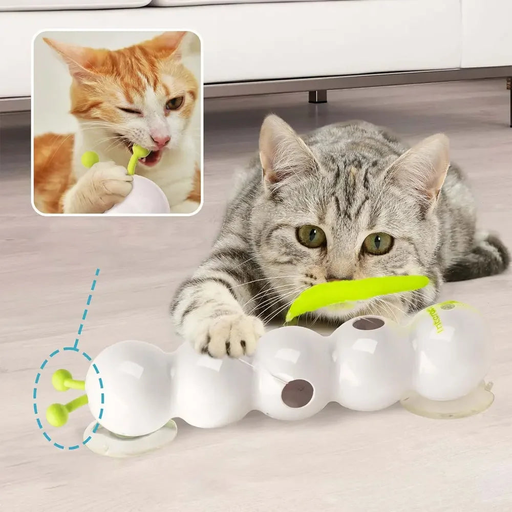 CaterPlay