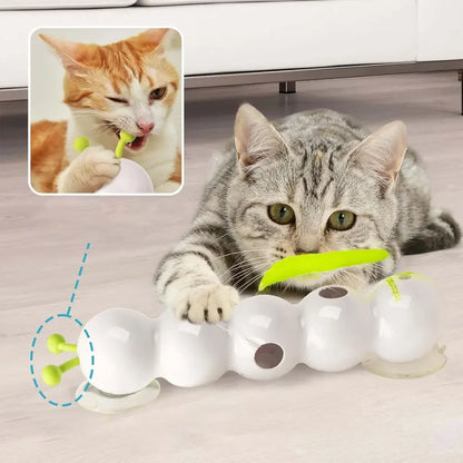 CaterPlay