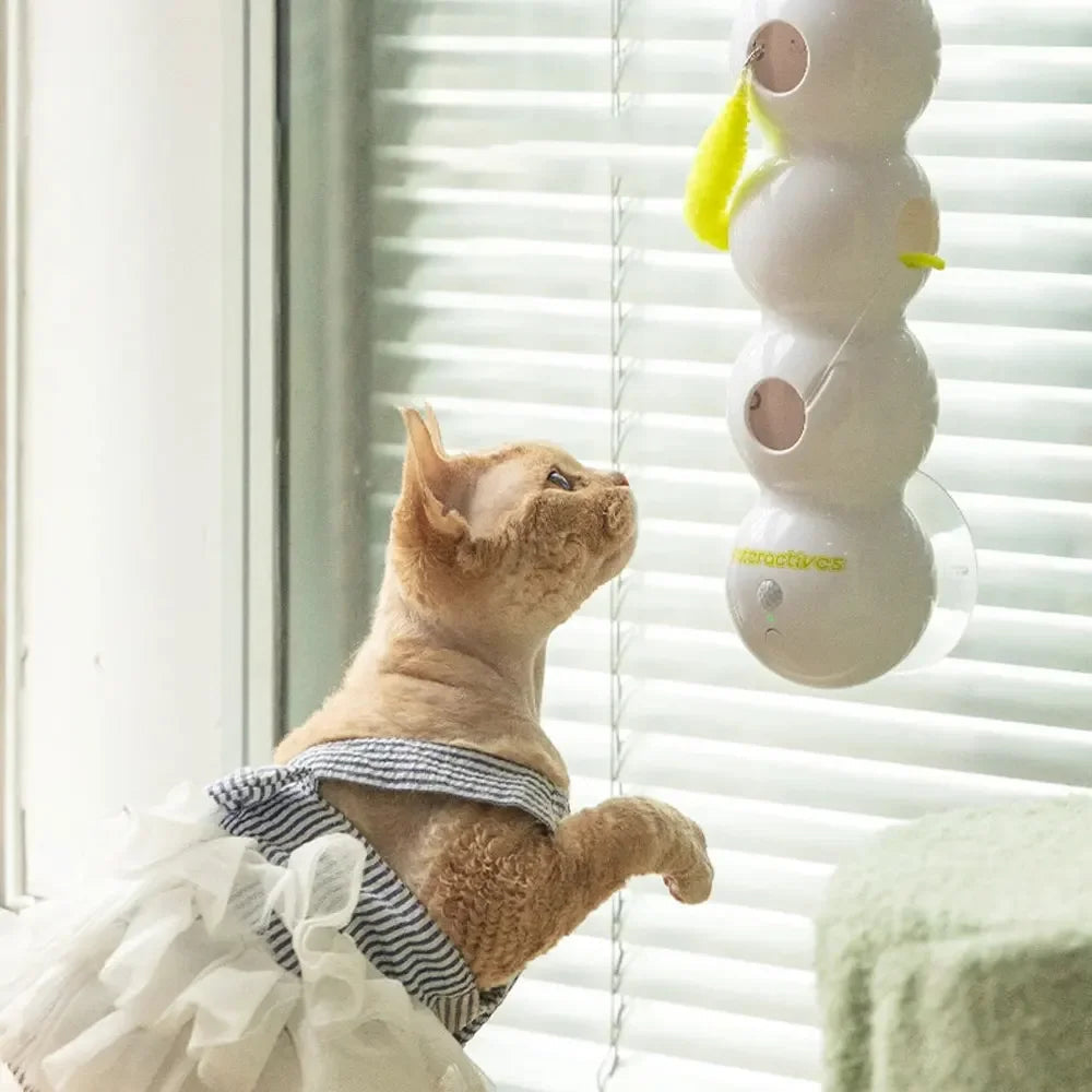 CaterPlay